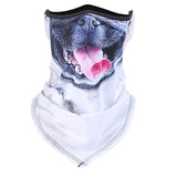 Animal Windproof Outdoor Sports Dog Balaclava Mask