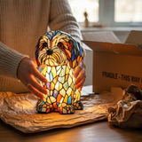 Sam - Čarobna Lampa u Obliku Psa
